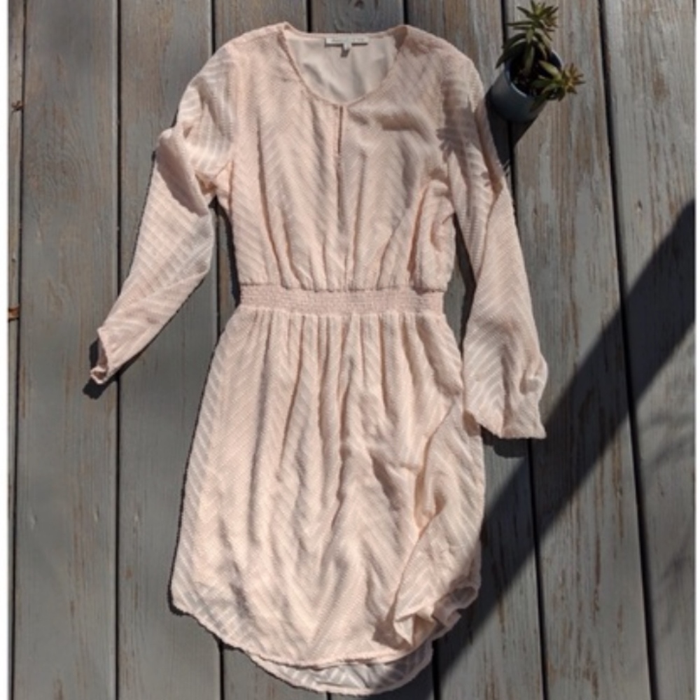 Daniel Rainn Blush Dress